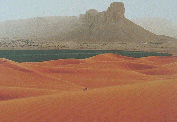 Desert Race 
